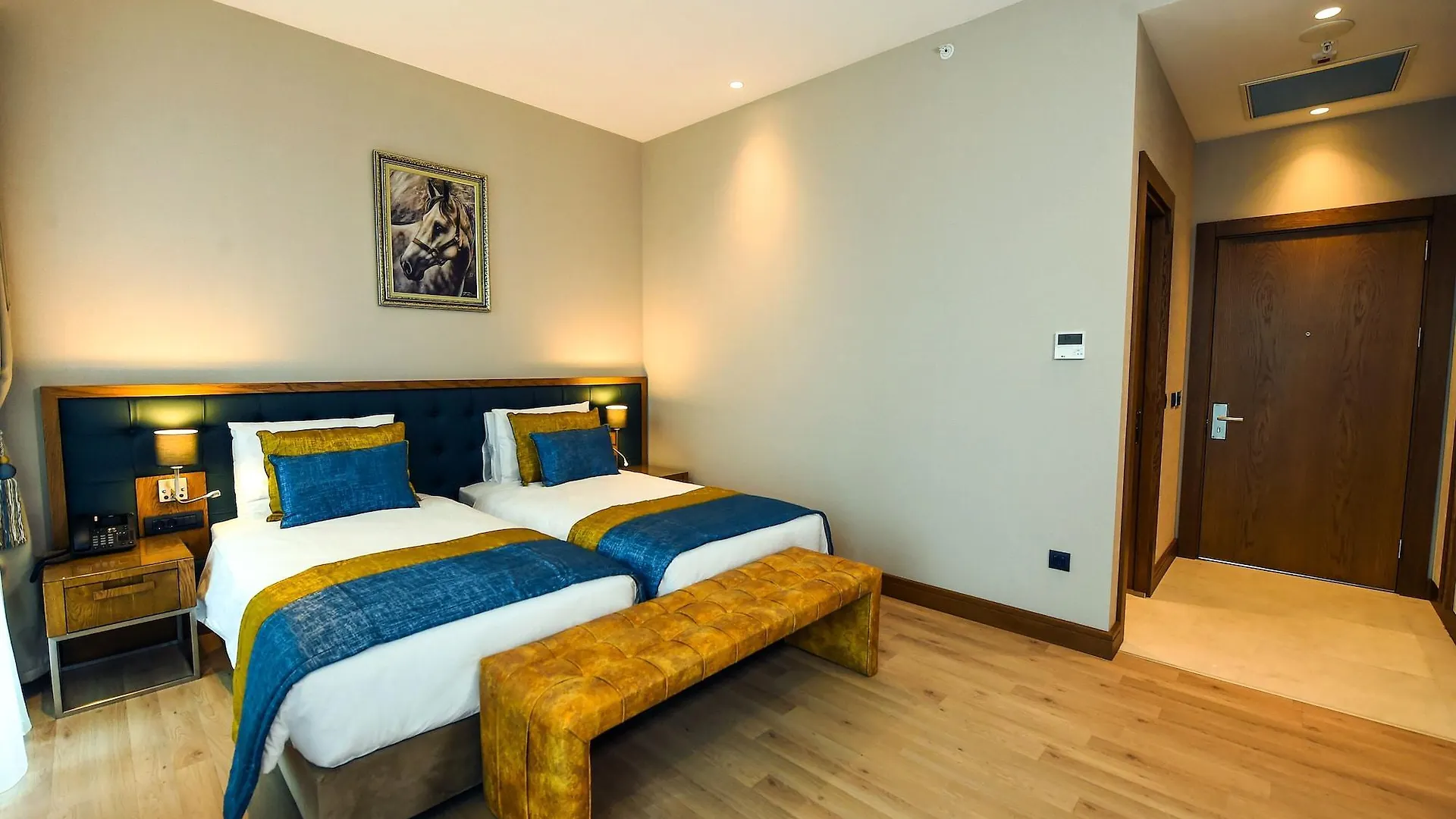 Cher Hotel & Spa Taksim Provincia di Provincia di Istanbul
