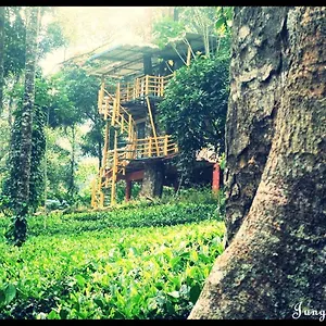 Bed & Breakfast Jungle Jive Tree House